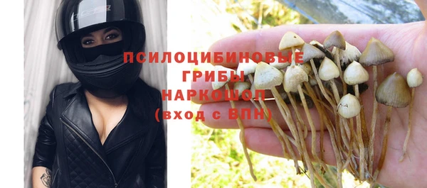 спайс Беломорск