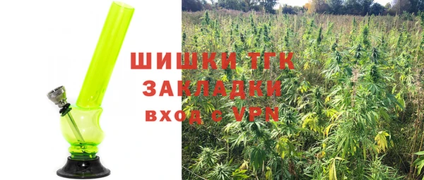ГАЛЛЮЦИНОГЕННЫЕ ГРИБЫ Михайловск