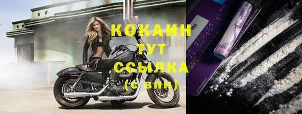 ГАЛЛЮЦИНОГЕННЫЕ ГРИБЫ Михайлов