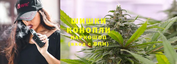 ГАЛЛЮЦИНОГЕННЫЕ ГРИБЫ Михайлов