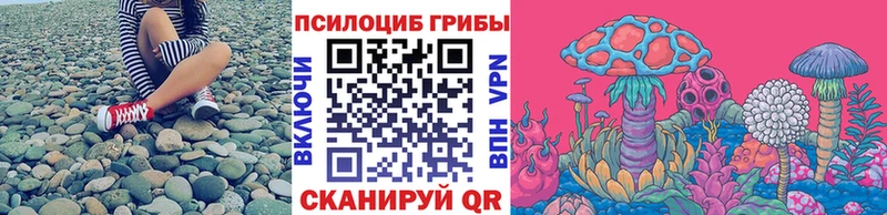 OMG зеркало  Бор  Галлюциногенные грибы Psilocybe 