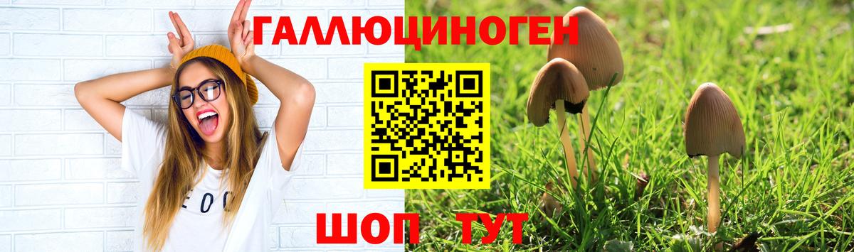 Псилоцибиновые грибы ЛСД Бор