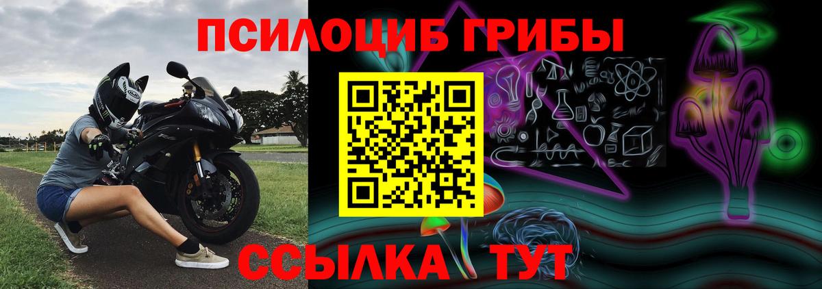 Псилоцибиновые грибы мицелий  Бор  Галлюциногенные грибы GOLDEN TEACHER 