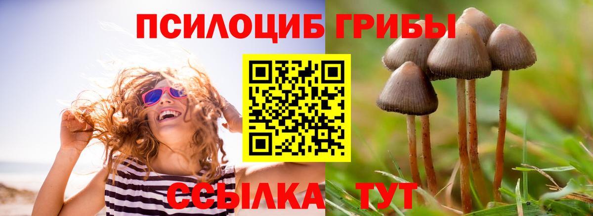 где купить наркотик  Псилоцибиновые грибы Psilocybe  Галлюциногенные грибы ЛСД  Вход с VPN  Бор 
